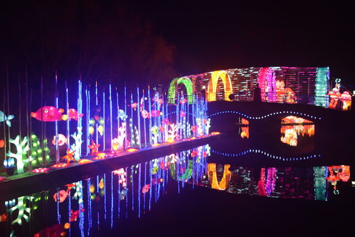 光影盛宴，奇幻啟航 揭秘武漢歡樂(lè)谷5000萬(wàn)盞花燈背后的匠心制造